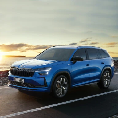 Skoda bil
