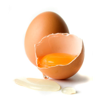 HowToBasic