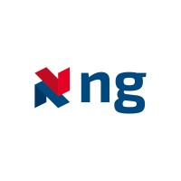 NG Engineering Group logo