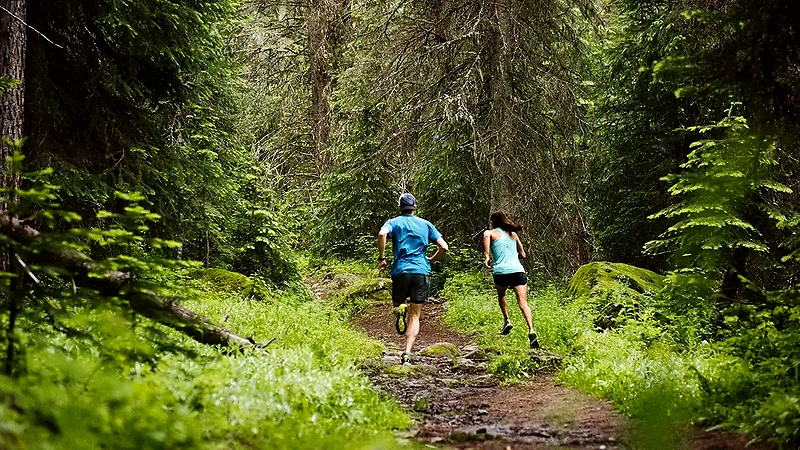 To løbere på en naturskøn trail løberute.