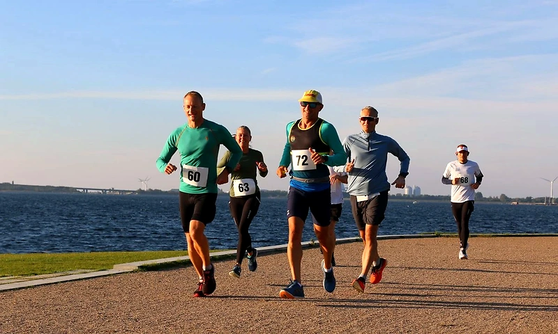 Københavns kystløb: Løbere nyder turen langs vandet.