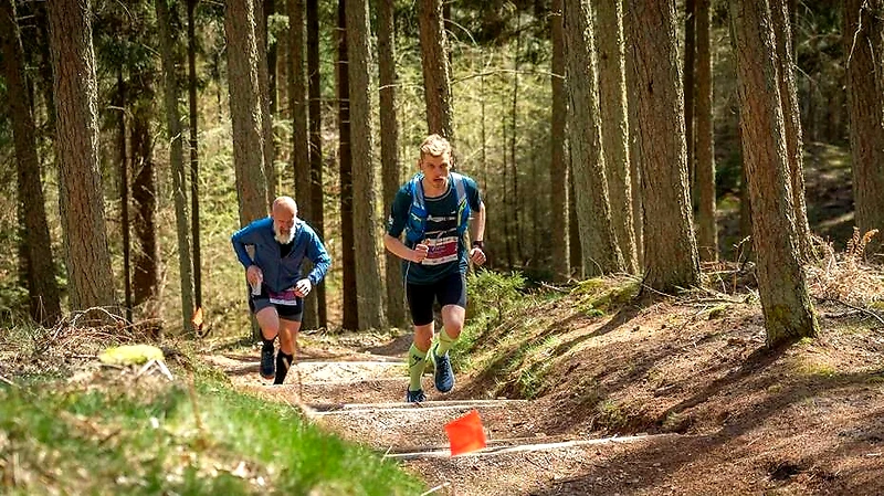 To trail løbere i skov på en bakke. Craft Paradise Trail.