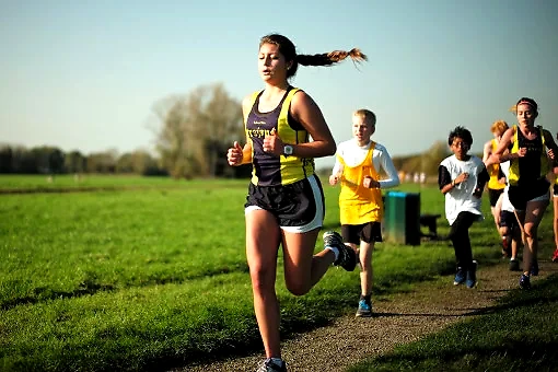 Runners in trail running. Good atmosphere and beautiful natural area.