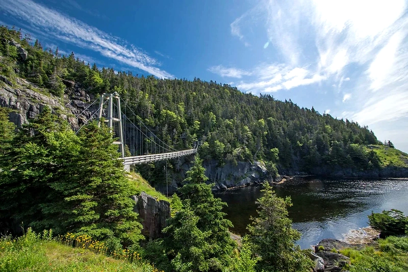 Smukt billede af en hængebro i Newfoundland's naturskønne kystlandskab.