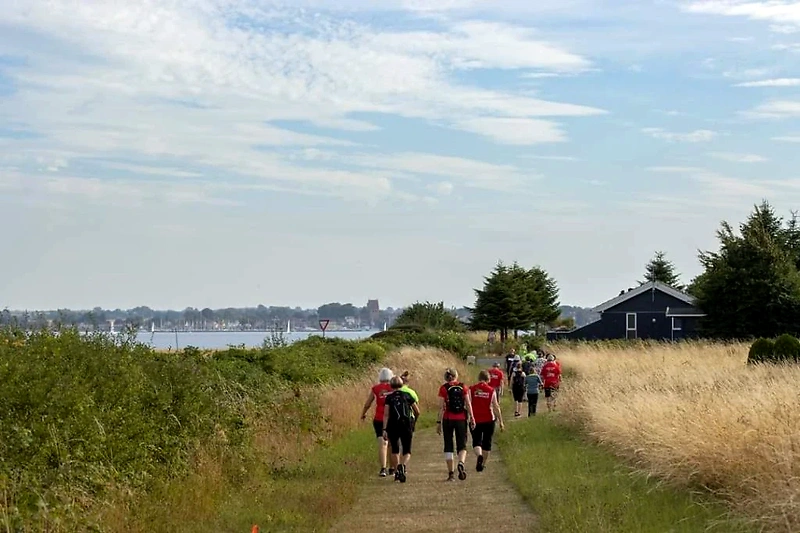 Løbere på skovsti ved Fanefjord. Etape Møn.