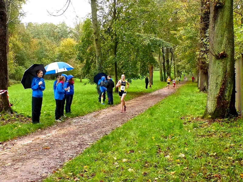 Trails løb i Geels Skov. Løbere på en mudret sti. Regnvejr.