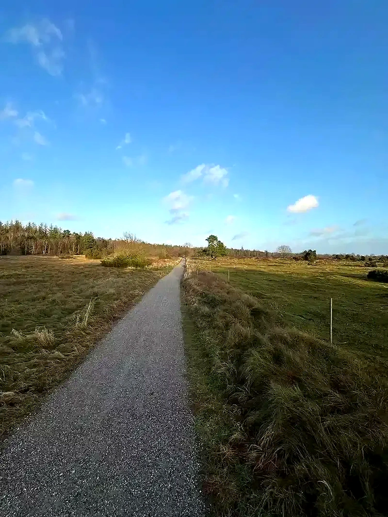 Skovvej, Grenaa Halvmarathon rute.