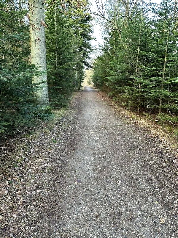 Skovvej, Grenaa Halvmarathon rute.