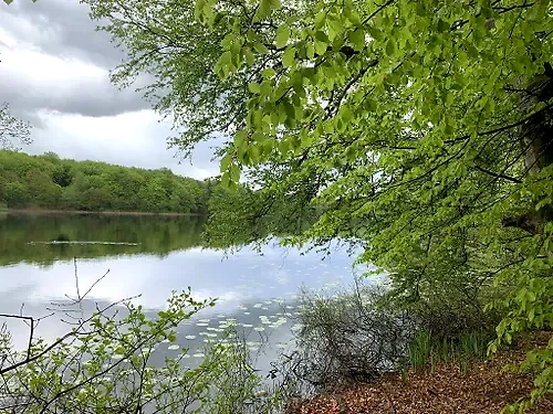 Gribskov sø. Smukt naturområde.