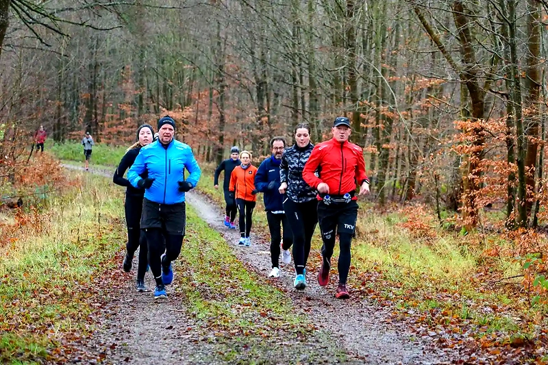 Løbere i skov på Grønbroløbet.