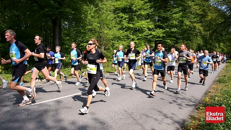 Halvmaraton løb i skoven. Mange løbere deltager.