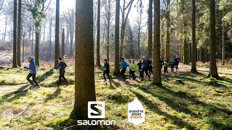 Løbere i skov under HØFDE Ultra Trail. Smukt foto af løbet.