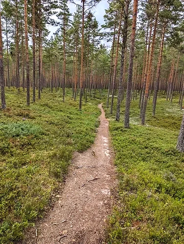 Skovssti på Hökensås Trail løbsrute.