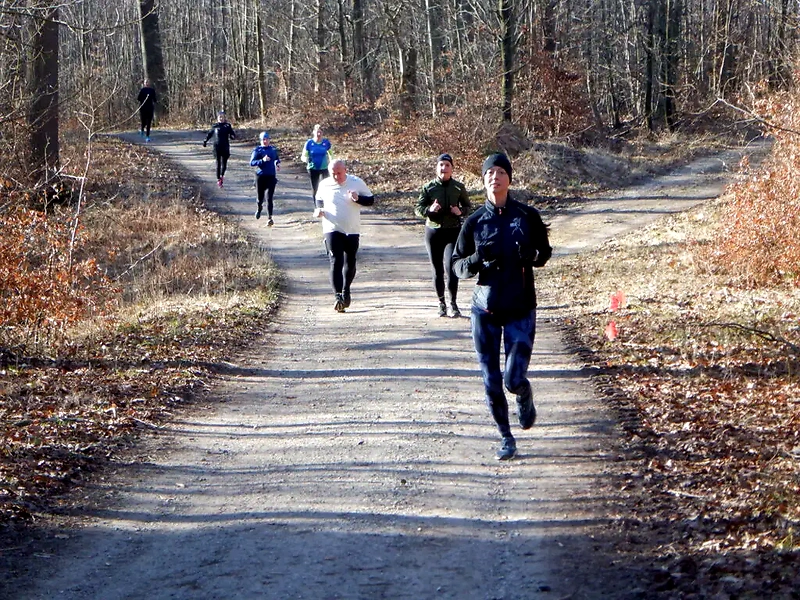 Løbere på skovsti under Hvalsø Cannonball ultramarathon.