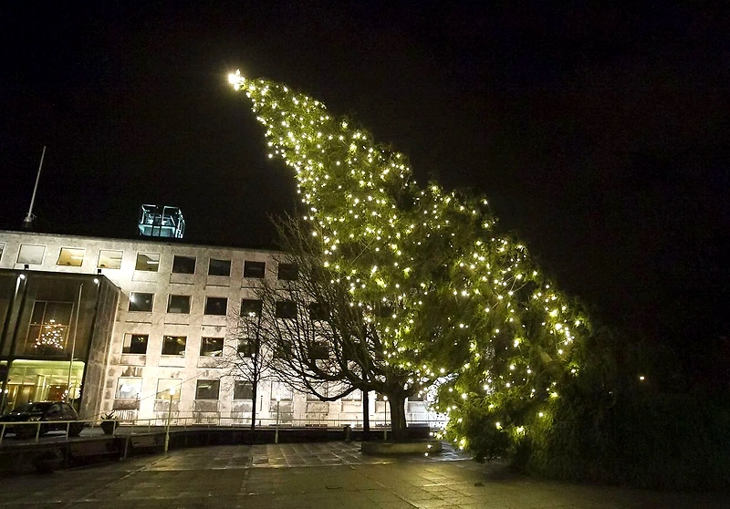 Aarhus juletræ, smukt oplyst om natten. Juleløbet stemning.