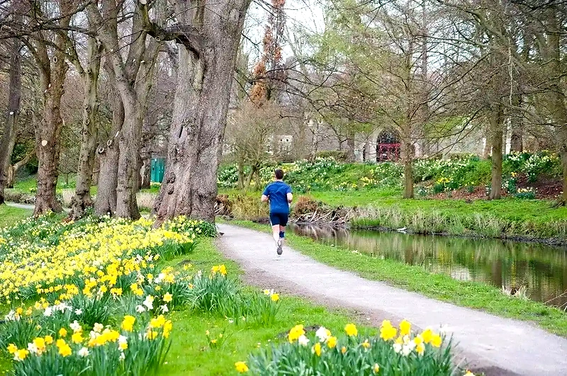 Løb i Kastellet om foråret. Smukt naturområde.