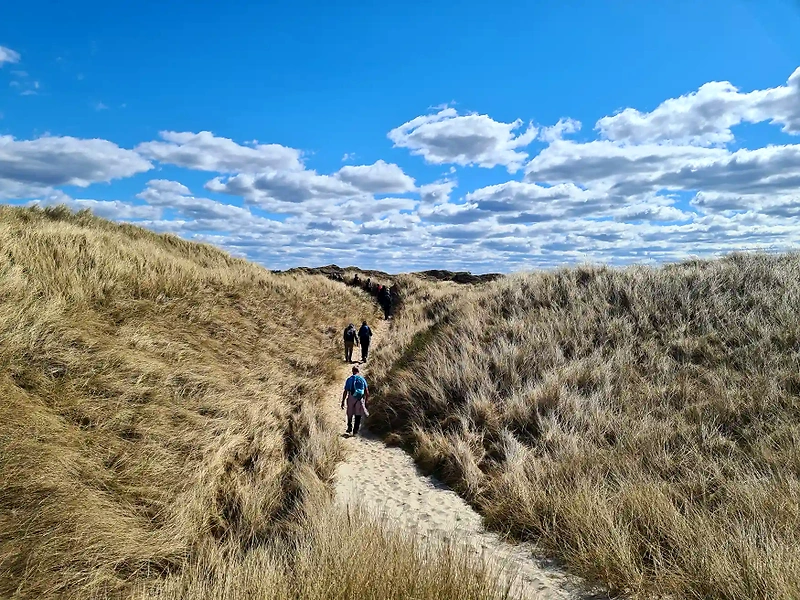 Løberute gennem klitter. Lønne Trail 2025.