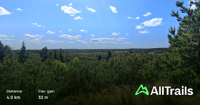Smukt naturområde i Nyminde og Blåbjerg Plantager. Lønne Trail 2025.
