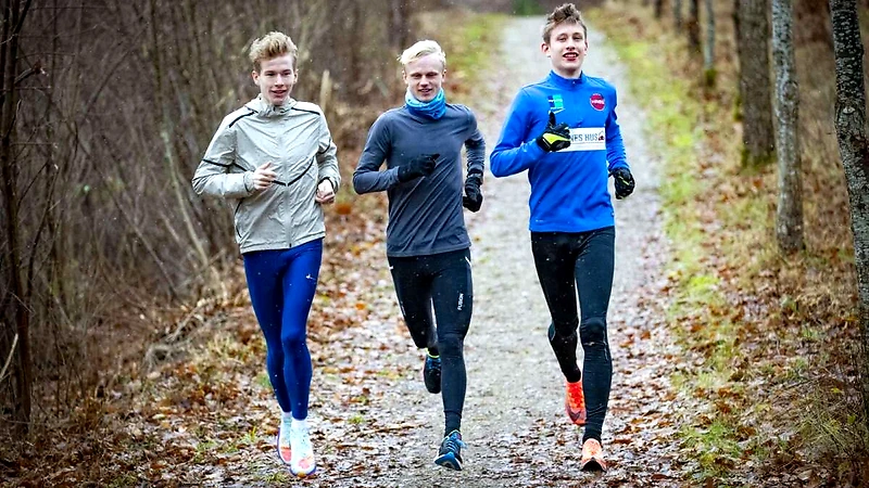 Tre løbere i skoven under Silkeborgløbet.