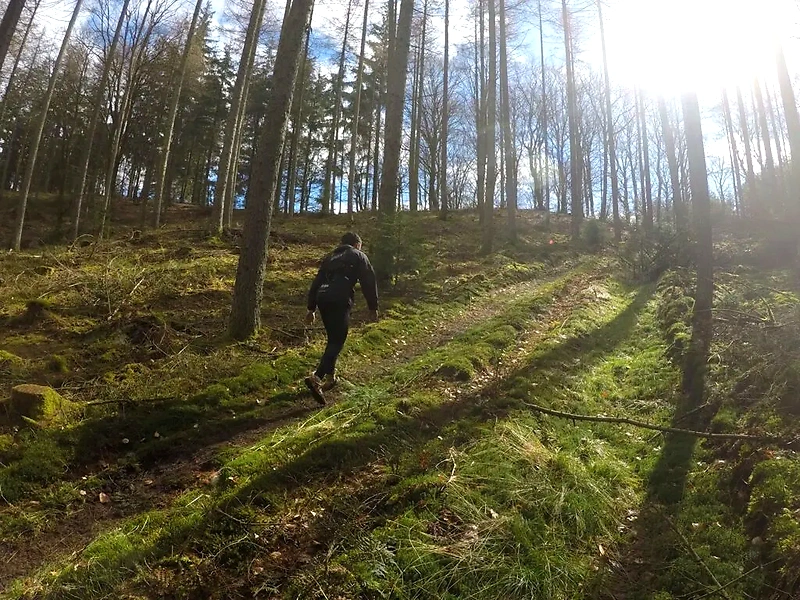 Løber på naturskøn sti i skoven. Sukkertop Trail.