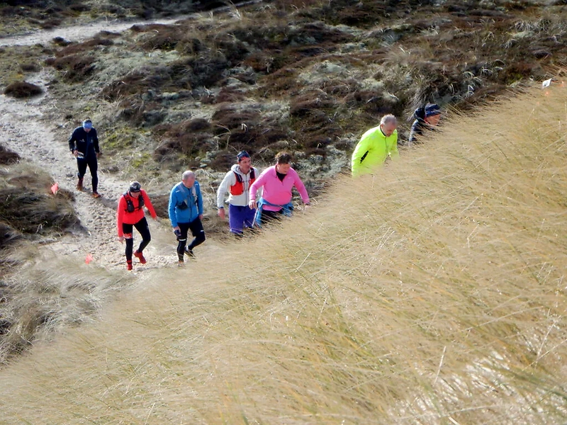 Thy Trail Marathon løbere i klitterne.
