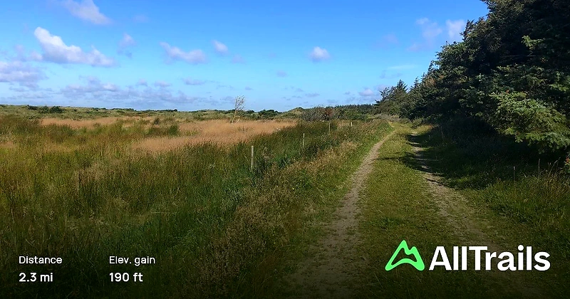 Vesterhavs Trail løberute: Smukt naturområde med sti gennem græs og klitter.