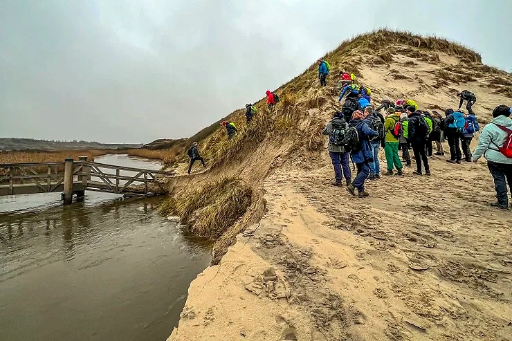 Løbere på Vesterhavs Trail 2025 ruten. Smukt klitlandskab.