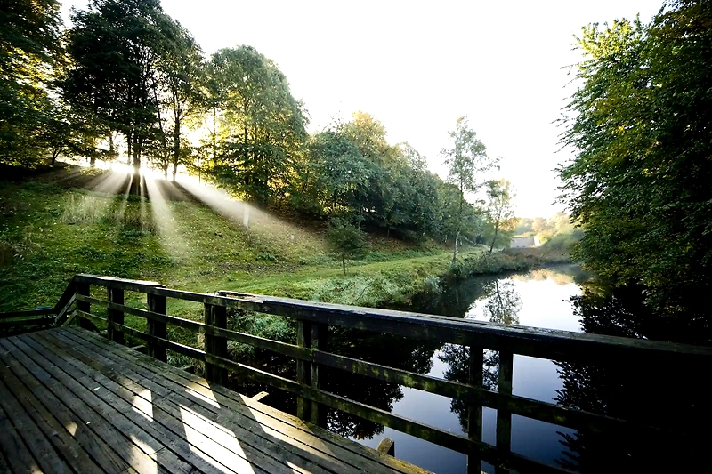Smukt naturområde ved Vestvolden, ideelt til trailløb.
