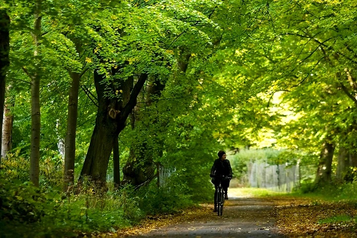 Cyklist på naturskøn sti, Vestvolden.