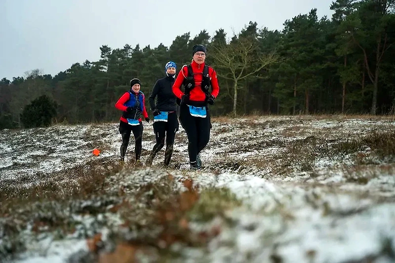 Tre kvinder løber vintertrail i Mols Bjerge.