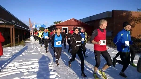 Vinterløb i Kirkeskoven med løbere nær mållinjen.