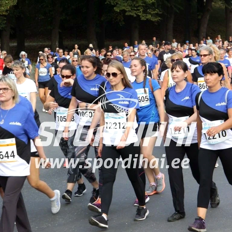 Participants in the running competition, wearing shirts with numbers, running.
