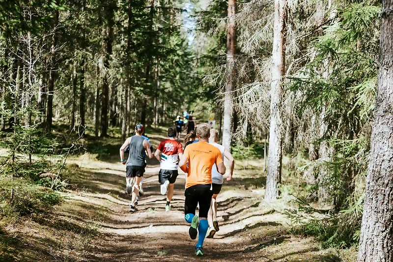 Metsas jooksvad jooksjad, Tartu Maastikumaraton.