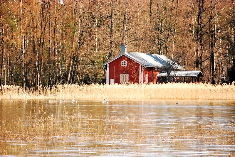 Järvimaisema punaisella talolla, sopii hyvin Littoistenjärven ympärijuoksuun.