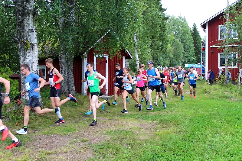 Juoksijoita luonnossa juoksukilpailussa.