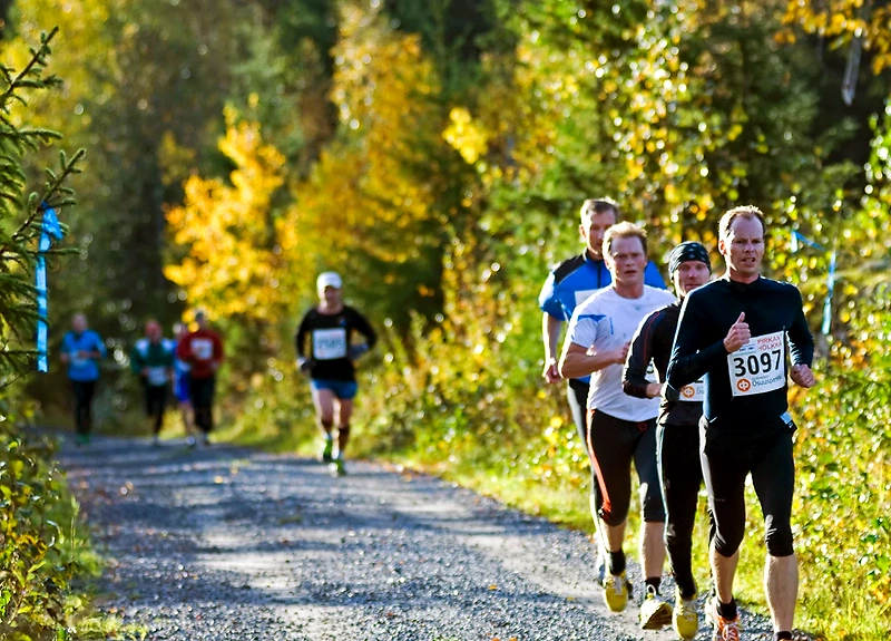 Runners on the forest trail at the Pirkan Hölkkä event.