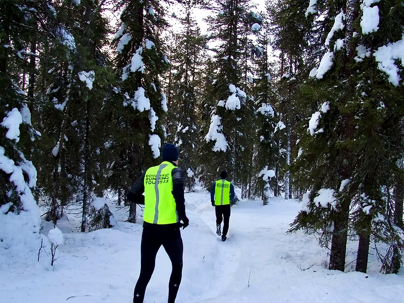 People running on trails in a snowy forest, where there are many trees and snow.
