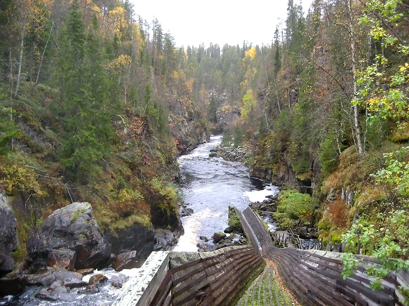River and forest landscape.