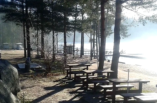 Puita järven rannalla.
