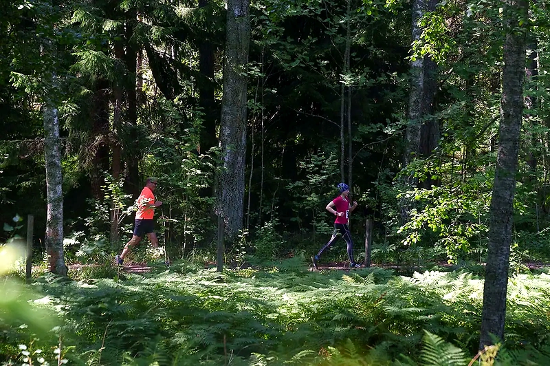 Runners in the forest at the Saarten 10 running event in Vartiosaari.