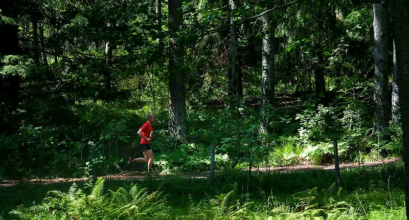 Runner in the forest.