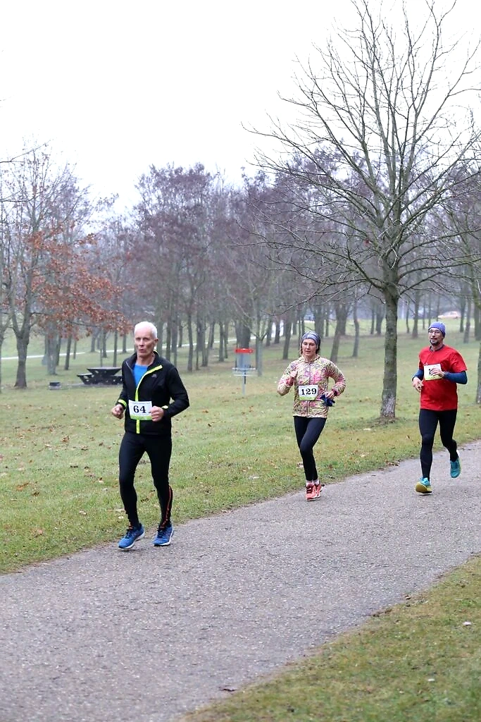Runners are running along the path through the autumn park.