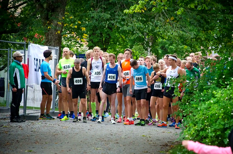Runners at the starting line for a cross-country race.