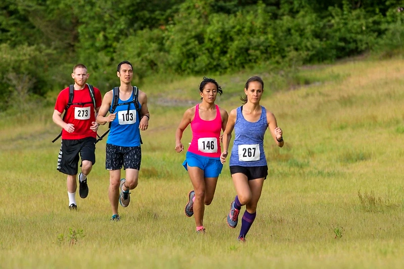 Runners in cross-country running, wearing race numbers.