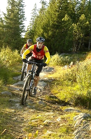 Cyclists on a trail in the woods.
