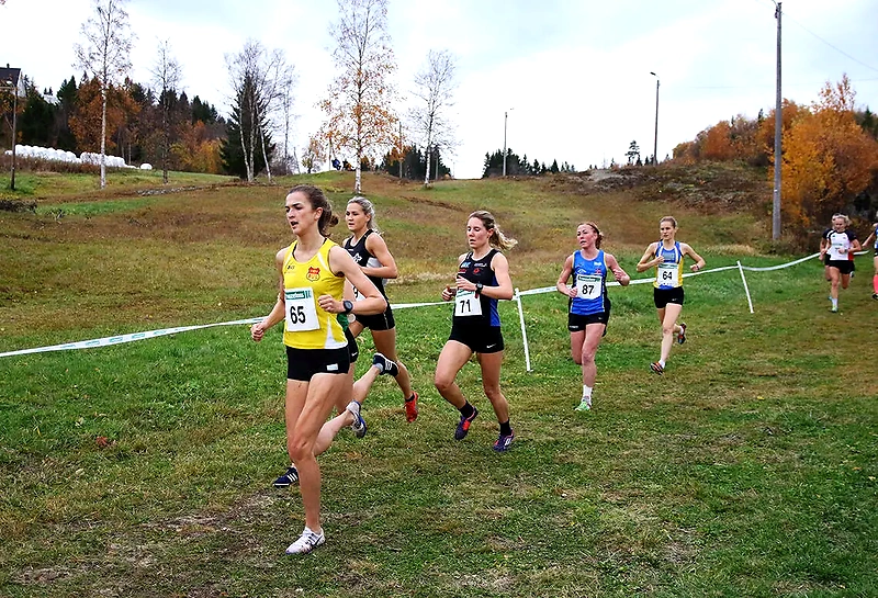 Runners in cross country. Several women are running on a grassy slope.