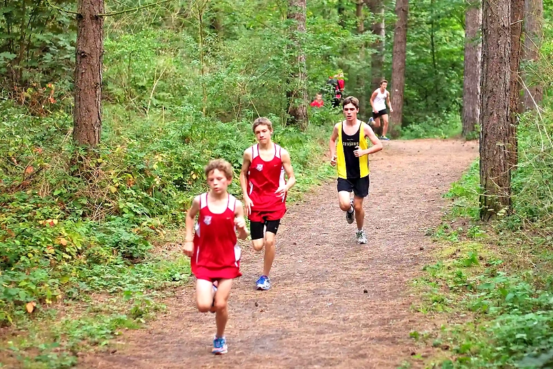 Runners in a trail course.