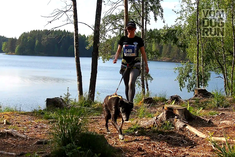 Runner with a dog in the forest by the water.
