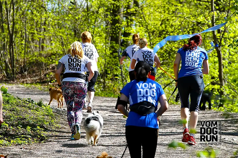 Participants in the Vom Dogrun run with their dogs on a trail.