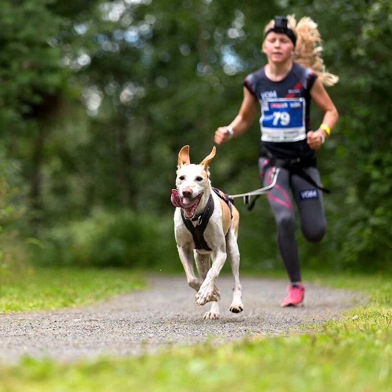 Runner with dog on trail. The dog is happy.